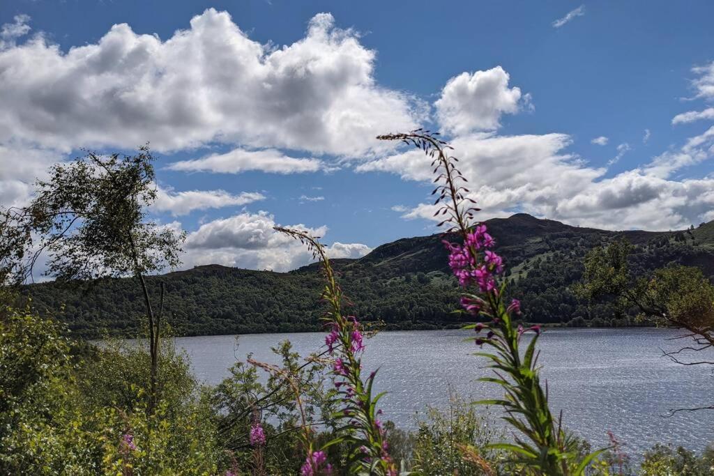 Rowan Cottage, Crannachcottages Garve Bagian luar foto