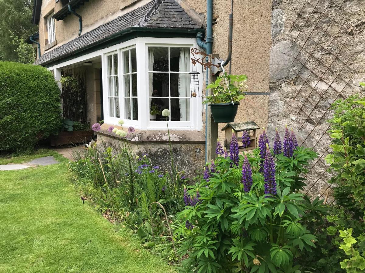Rowan Cottage, Crannachcottages Garve Bagian luar foto