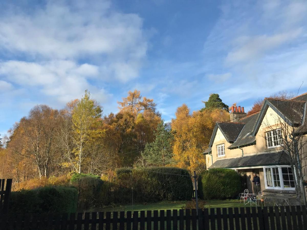 Rowan Cottage, Crannachcottages Garve Bagian luar foto